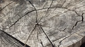 Alooo sayın okur yaşlanıyorum! Du samting lan